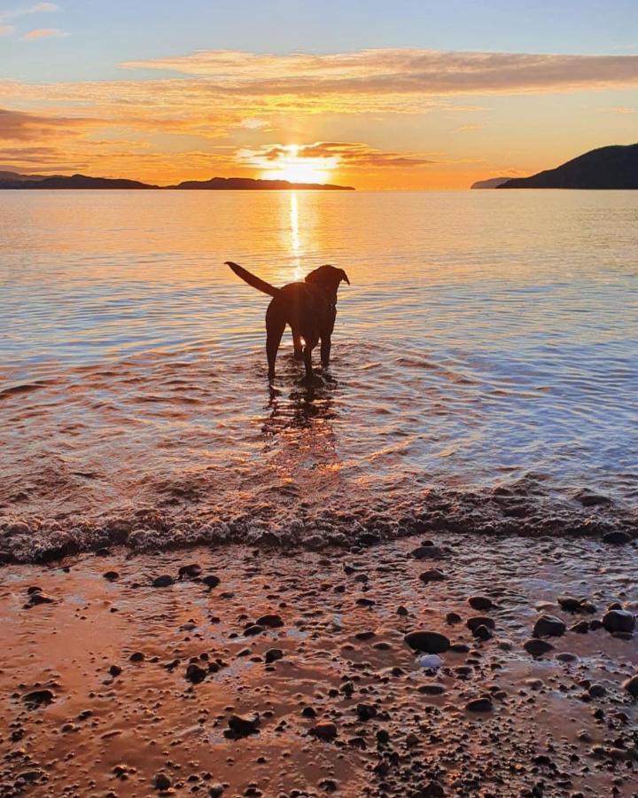Craigneuk Near Oban, Stunning Home With Sea Views المظهر الخارجي الصورة